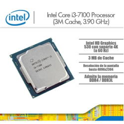 Procesador OEM Intel 1151 Core I3-7100 (bulk)